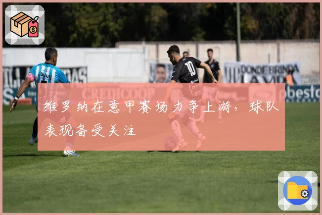 维罗纳在意甲赛场力争上游，球队表现备受关注